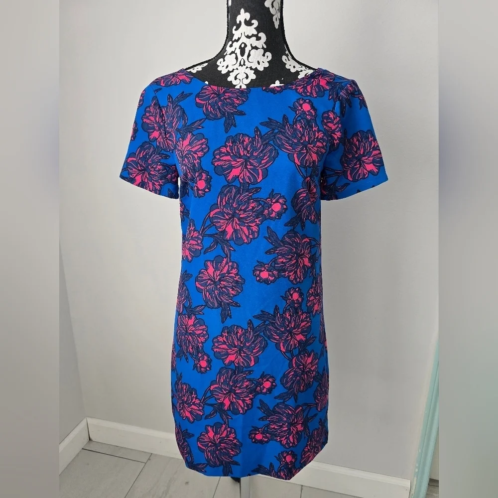 J Crew Floral Blue and Pink Dress size 00
